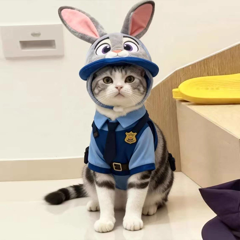 可爱宠物狗狗猫咪帽子冬