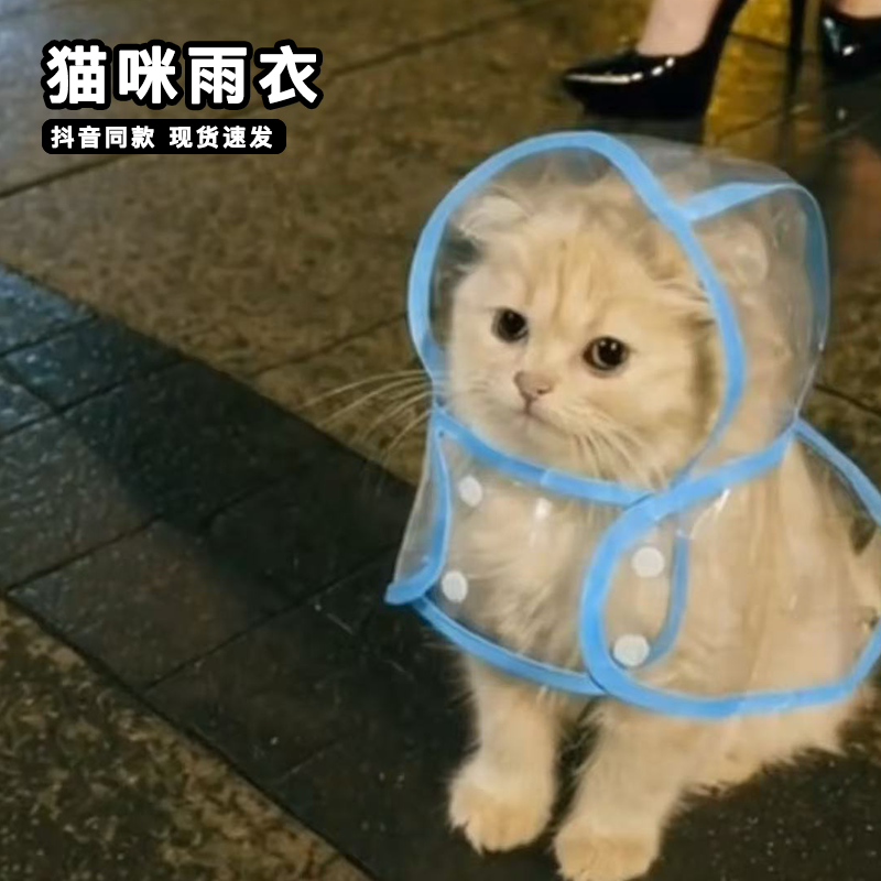猫咪雨衣超可爱宠物小猫