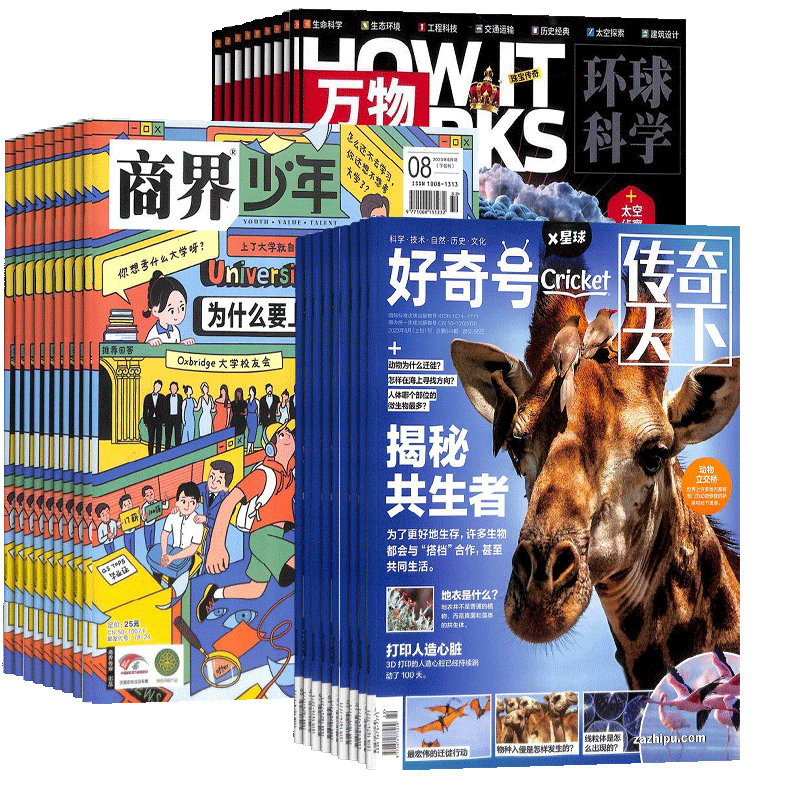好奇号加商界少年加万物组合