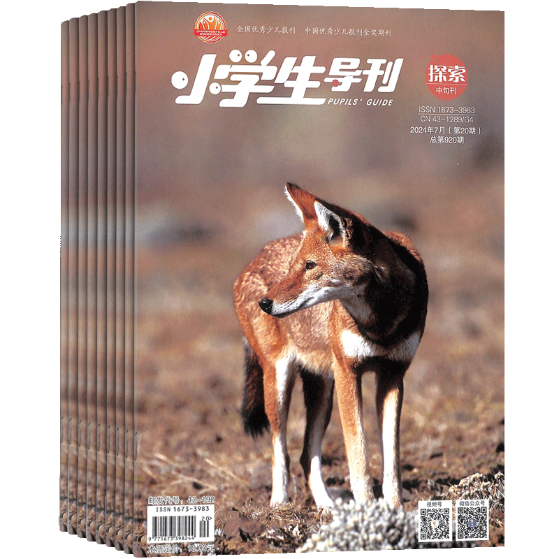 小学生导刊中年级（探索版）杂志订阅 2026年1月起订 杂志铺 1年共12期 小学生学习辅导期刊杂志书籍 全年订阅