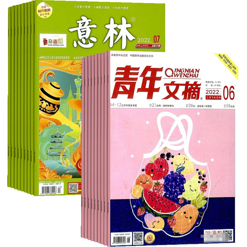 意林加青年文摘组合杂志订阅