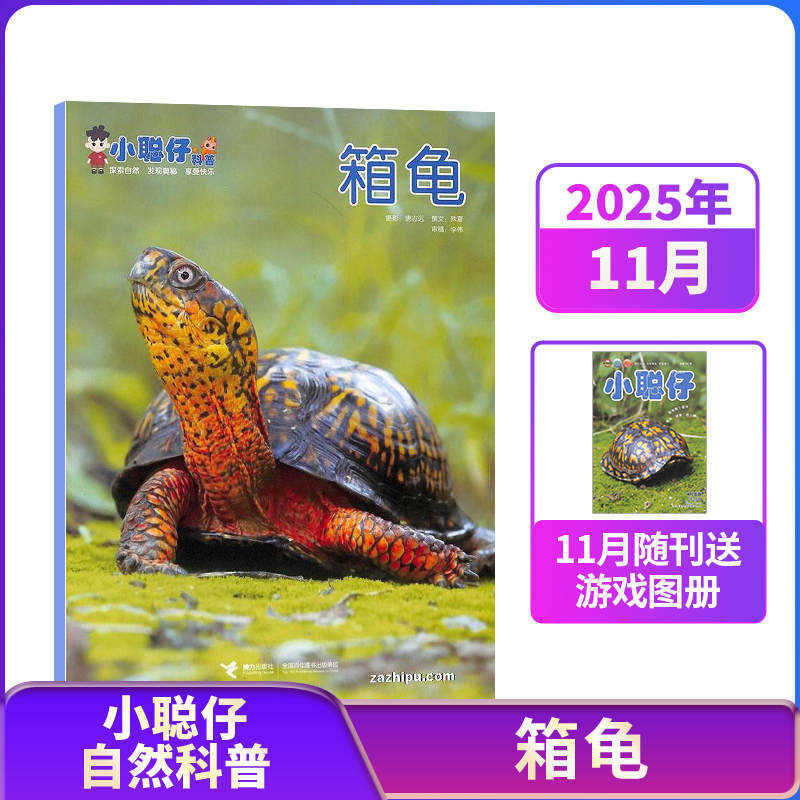 【25/24年半年/包邮】小聪仔自然科普版杂志 杂志铺订阅 少儿益智科普智力开发拓宽知识面科学探秘儿童课外阅读期刊