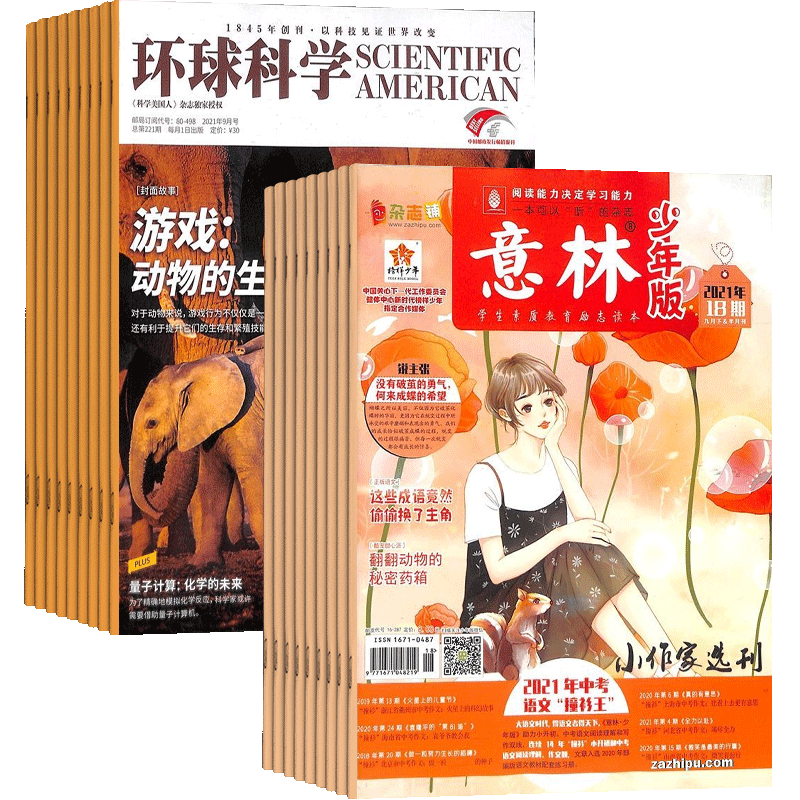 环球科学+意林少年版杂志组合