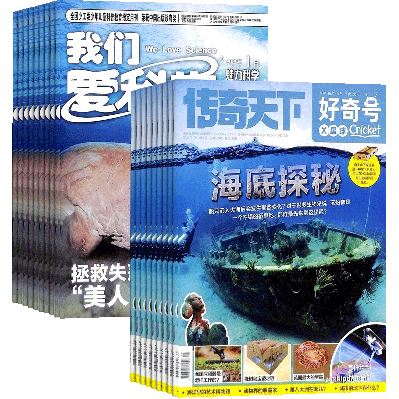 好奇我们科学少年组合杂志