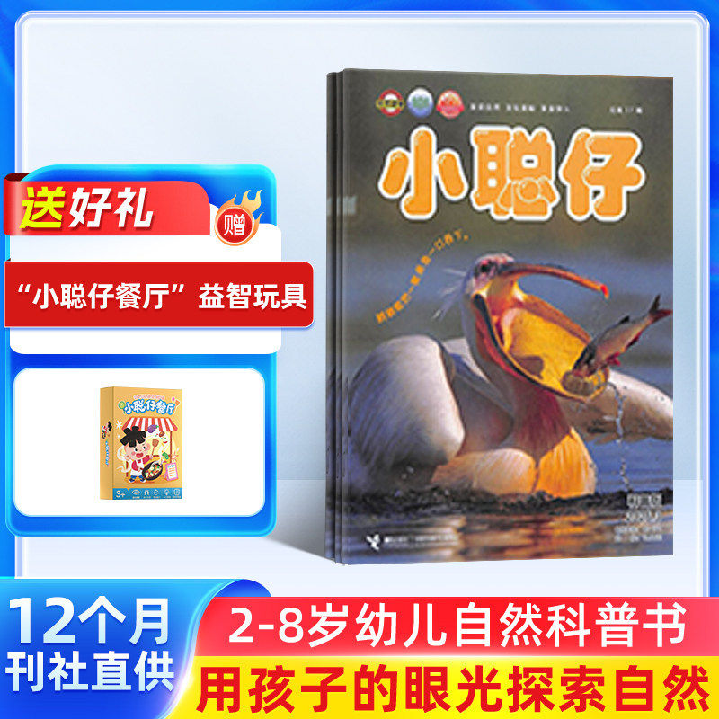 【送好礼】小聪仔自然科普版杂志 2026年1月起订 1年共12期 杂志铺 2~8岁少儿益智科普智力开发拓宽知识面科学探秘 课外阅读期刊