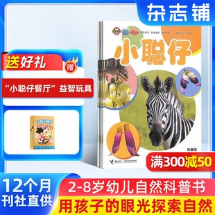 杂志 2026年1月起订 8岁少儿益智科普智力开发拓宽知识面科学探秘 送好礼 课外阅读期刊 小聪仔自然科普版 杂志铺 1年共12期