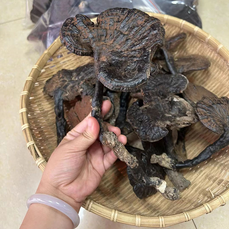 纯野生紫灵芝正品深山整株野芝林下不苦紫芝草茶中药材干货煲汤料