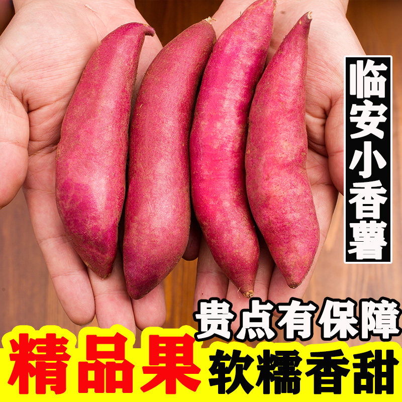【精品果】新鲜临安天目山小香薯5斤小红薯紫薯地瓜山芋板栗番薯3