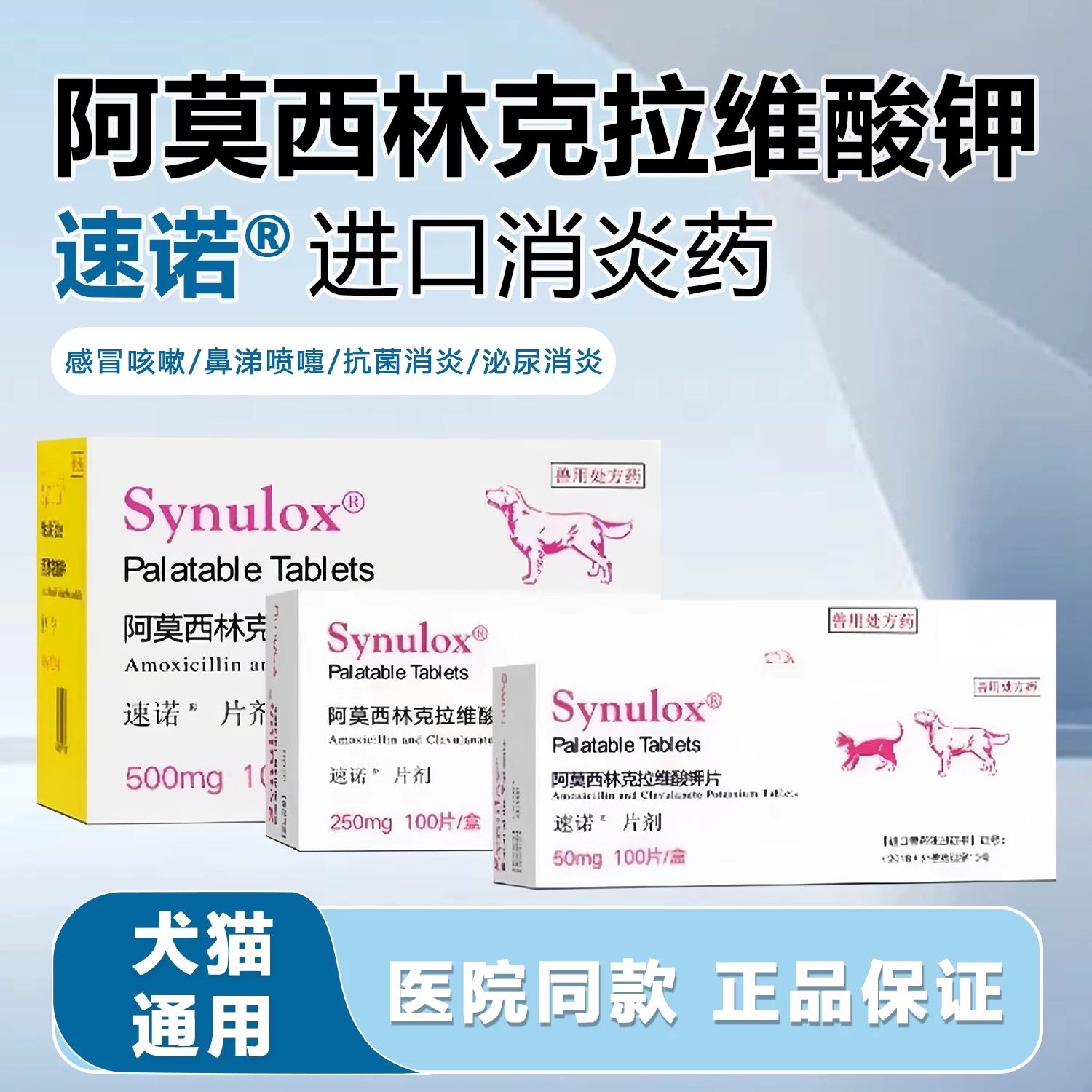 速诺消炎片猫狗阿莫西林克拉维酸钾猫咪消炎药速诺猫咪感冒药鼻支,宠物/宠物食品及用品,猫呼吸道疾病药品,淘宝优惠券,粉丝福利购,淘宝优惠卷