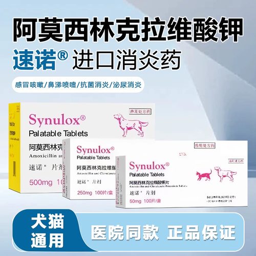 速诺阿莫西林猫狗感冒鼻支消炎片