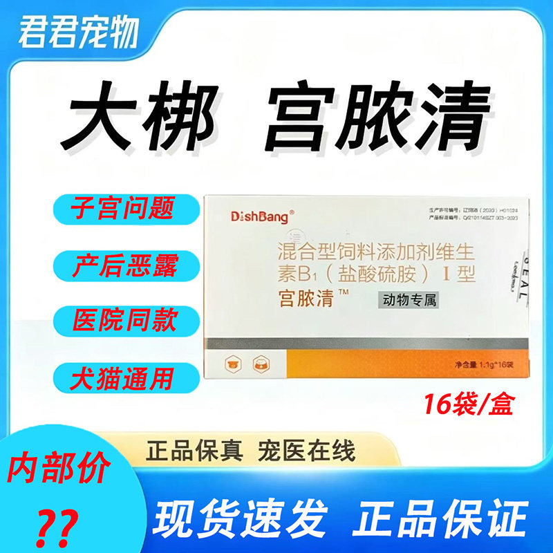 大梆宫脓清宠物猫咪狗狗子宫蓄脓感染内膜炎子宫积液恶露流血假孕