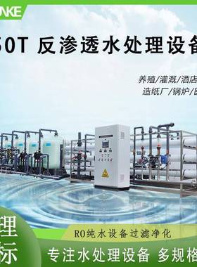 工业50方每小时电厂纯净水设备1200吨每天锅炉用水纯水水处理设备