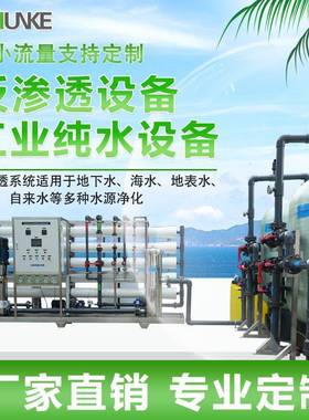 5吨10吨20吨50吨反渗透设备净化纯水锅炉给水ro反渗透水处理设备