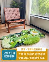Stylish moss carpet diy material package for bedroom, living room and bedside, light luxury high-end sofa, internet-famous green plush thumbnail 2