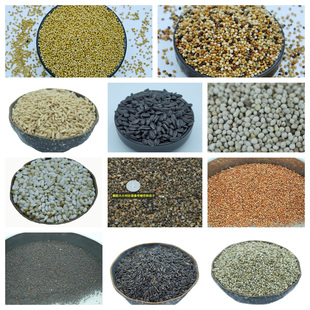 DIY自配鸟粮鹦鹉粮大全自助虎皮牡丹粮自选带壳谷物鸟食鹦鹉饲料