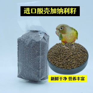 脱壳加纳利籽无壳新加纳利子去壳白尖无壳加纳利子金丝雀草籽