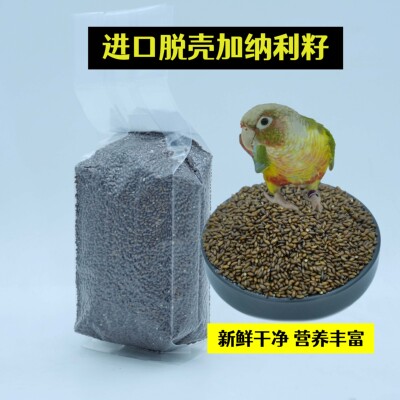 脱壳加纳利籽无壳新加纳利子去壳白尖无壳加纳利子金丝雀虉草籽