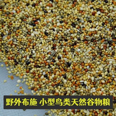麻雀观音鸟粮布施鸟食种子饲料