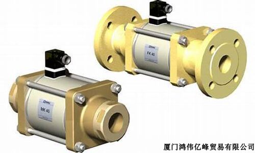 美国COJAXEV止回阀插装阀