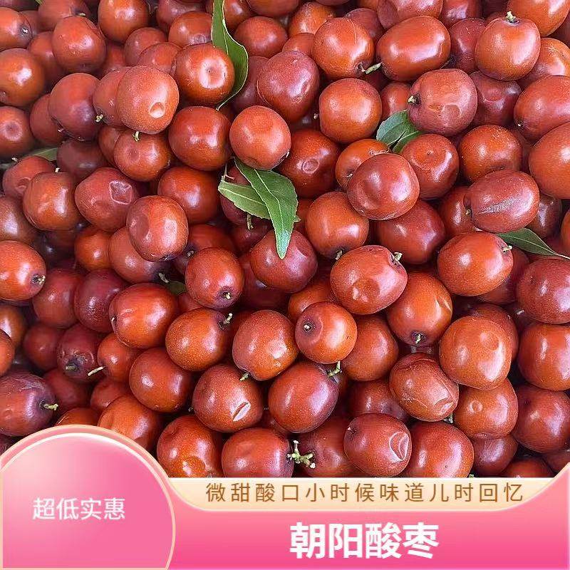 朝阳大酸枣皮薄个大微甜酸口大野生酸枣嫁接孕妇解馋水果包邮
