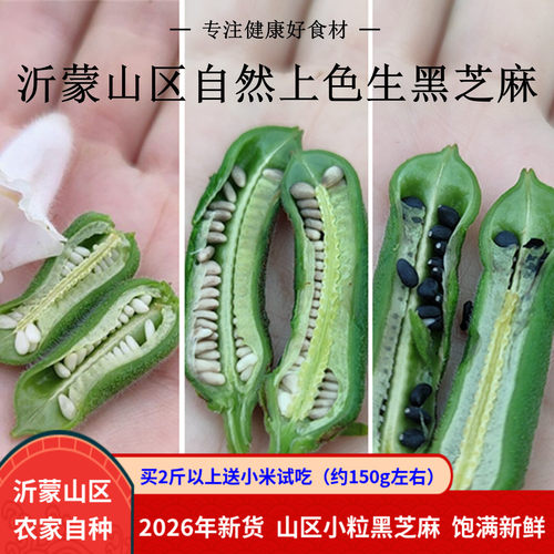 黑芝麻2026年新货农家自种无染色非炒熟粗粮五谷杂粮生黑芝麻500g - 封面