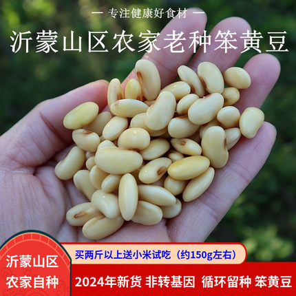 黄豆2024新货农家自种老品种非转基因笨黄豆打豆浆非发芽土黄豆