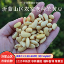 黄豆2025新货农家自种老品种非转基因笨黄豆打豆浆非发芽土黄豆