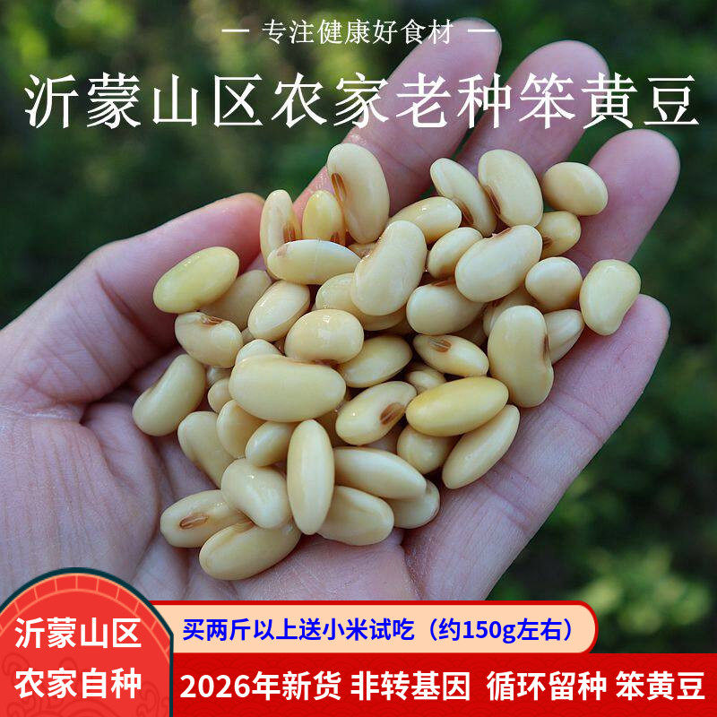 黄豆2026年新货农家自种老品种非转基因笨黄豆打豆浆非发芽土黄豆