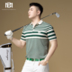 t恤男条纹撞色商务休闲上衣夏季 潮流短袖 男2024新款 BM高端polo衫