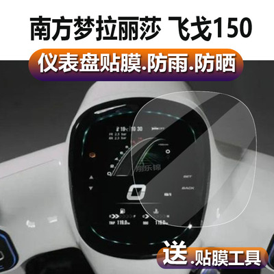 适用南方梦拉丽莎飞戈150仪表膜