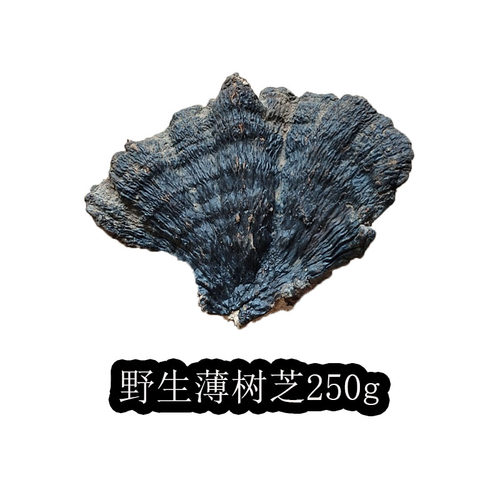 野生纯天然250克整枝薄树芝