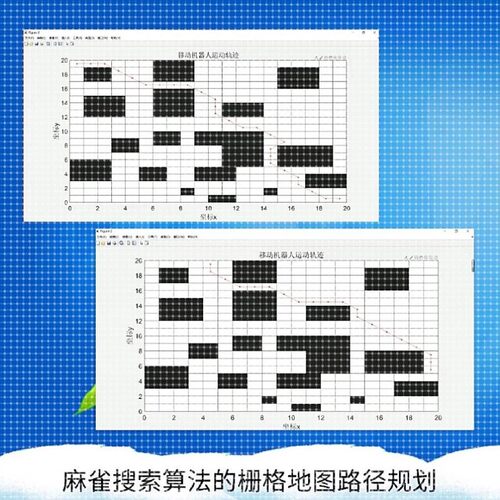 matlab路径规划遗传蚁群蜂群狼群算法代编python强化学习组合优化
