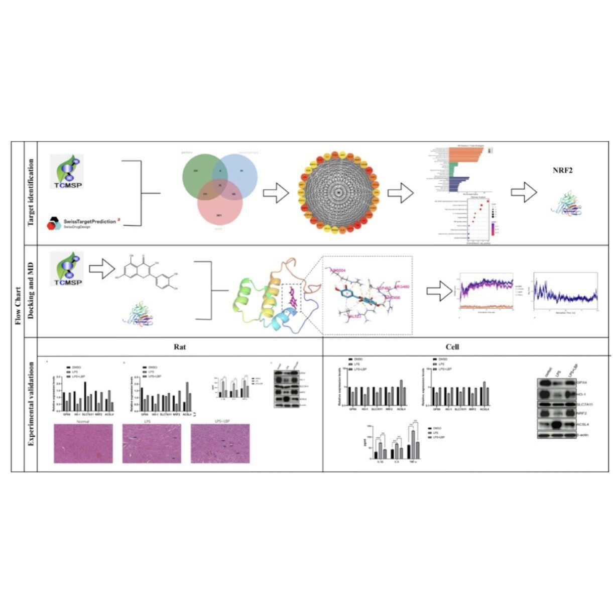 质谱数据分析 高分辨率数据分析 代谢组学 蛋白组学 LCMS GCMS
