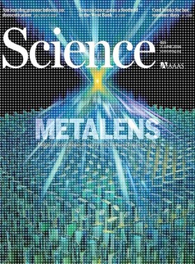 微纳光学仿真设计代做,版图绘制(FDTD,Matlab,Klayout)