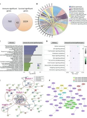完全从零基础学生物信息Linux软件R语言 多组分析脚本基因组拼接