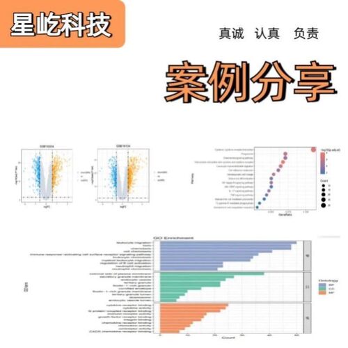 GO KEGG GSEA功能注释通路富集气泡柱状曲线图生信分析作图