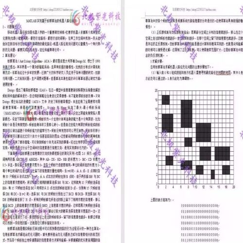 蚁群算法的机器人路径规划栅格matlab程序代码+word文档