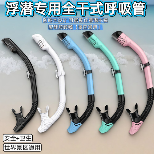 浮潜全干式呼吸管带咬嘴