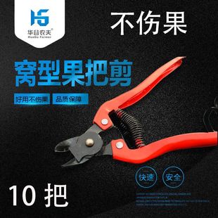 果树修剪刀摘水果修枝剪摘果采果柑橘桔子脐橙果剪窝型苹果剪园艺