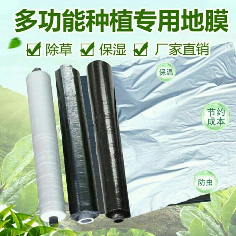 银黑地膜黑地膜除草地膜蔬菜果树保湿保温除草除虫银黑双色反光膜