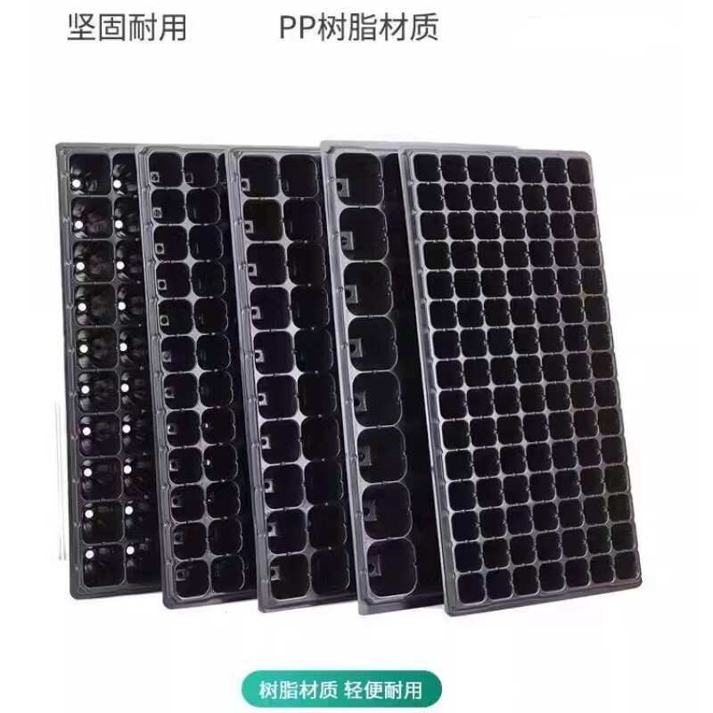 营养钵 多孔育苗盘 加厚育苗穴盘 培育花草种子专用盘 芽菜盘直销