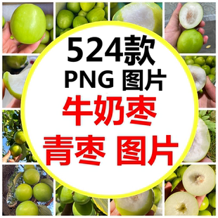 元谋贵妃牛奶枣果园采摘牛奶枣苹果枣台湾大青枣水果高清图片素材