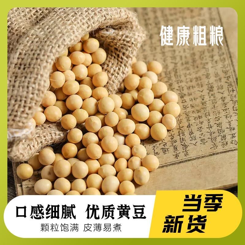 新货黄豆打豆浆专用农家自种黄豆发豆芽煲汤五谷杂粮黄豆非转基因