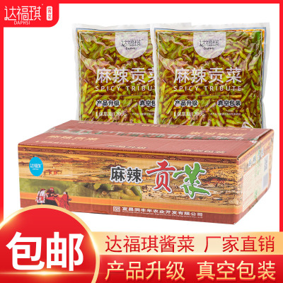 达福琪麻辣贡菜净重9斤