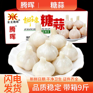 腾晖糖蒜8斤正宗糖醋蒜商用山东大蒜东北白玉糖蒜头下饭菜泡菜