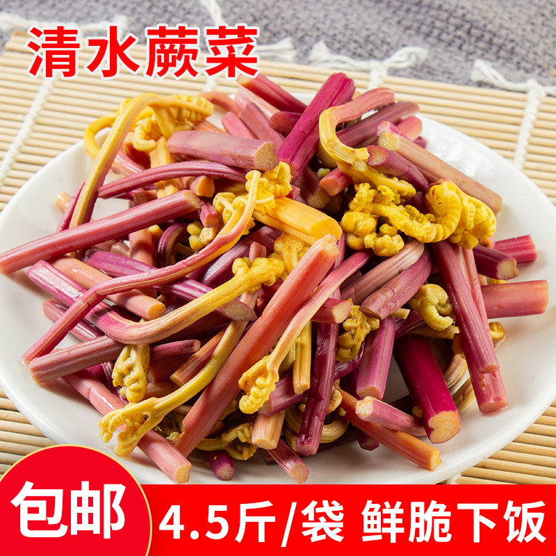 新鲜清水蕨菜商用4.5斤凉拌专用脆嫩厥菜贵州火锅食材决菜袋装