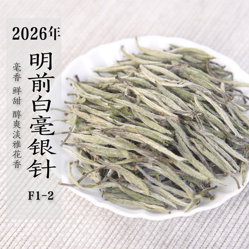 新茶 2026/2025年明前白毫银针F1-2  毫香甜香花香银针 政和白茶