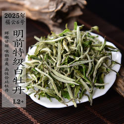 新茶 2025年福云6号特级白牡丹L2+清明前春茶 东和茗政和白茶