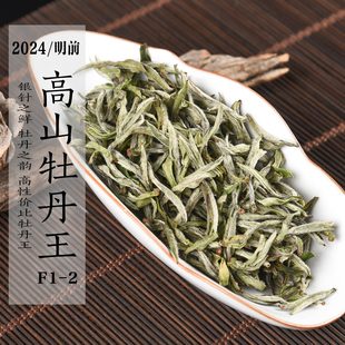新茶2024年清明前高山白牡丹王F1-2 特级白牡丹高品质政和白茶