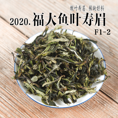 2020年福大鱼叶寿眉政和白茶